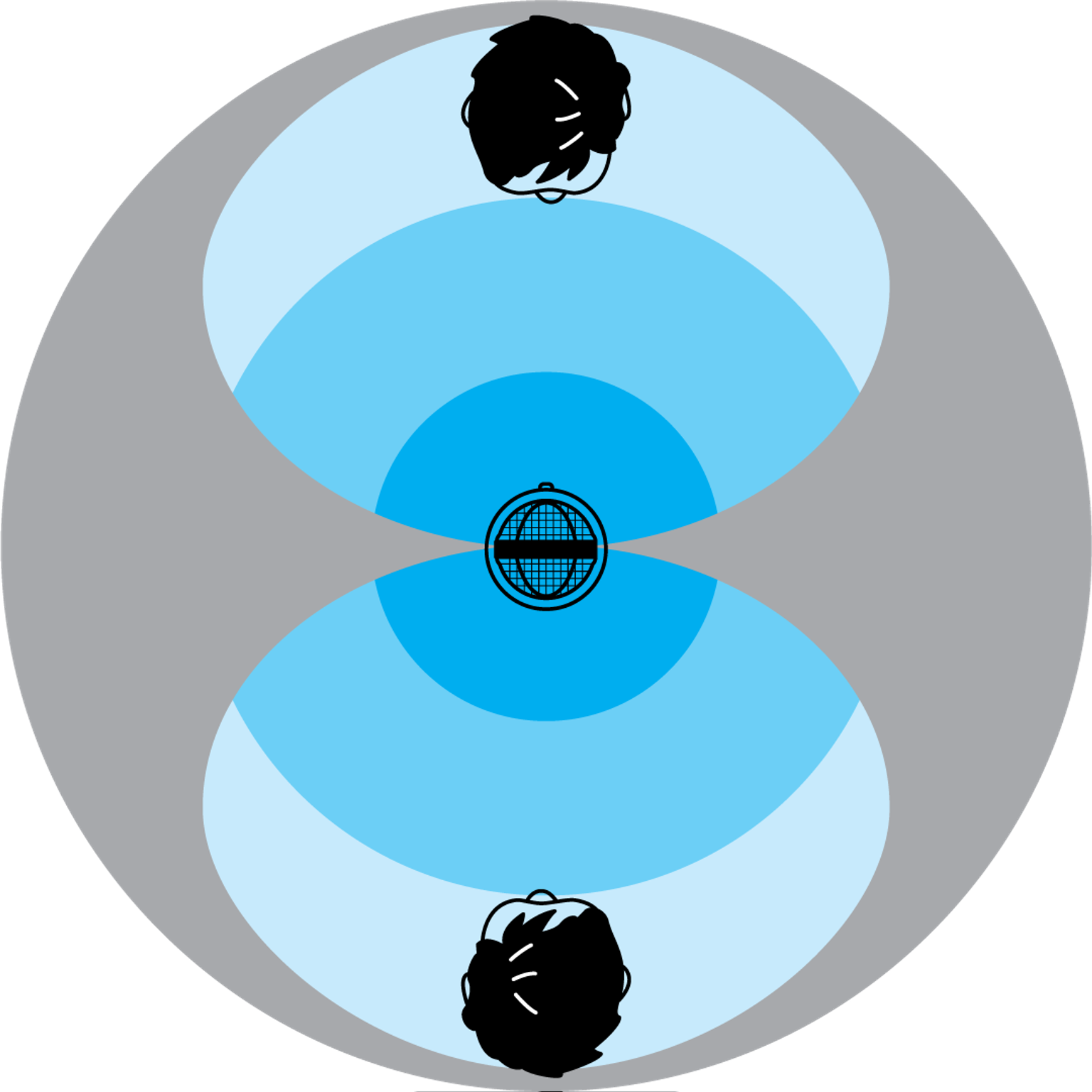 Bidirectional-Polar-Pattern